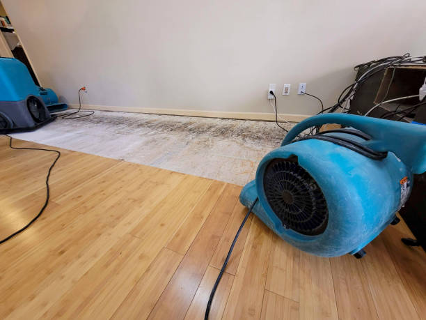 Professional Basement Flood Cleanup technician working in Clinton, MS